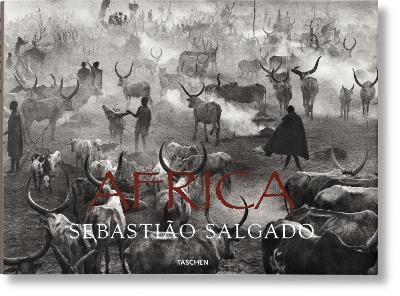 africa.jpg
