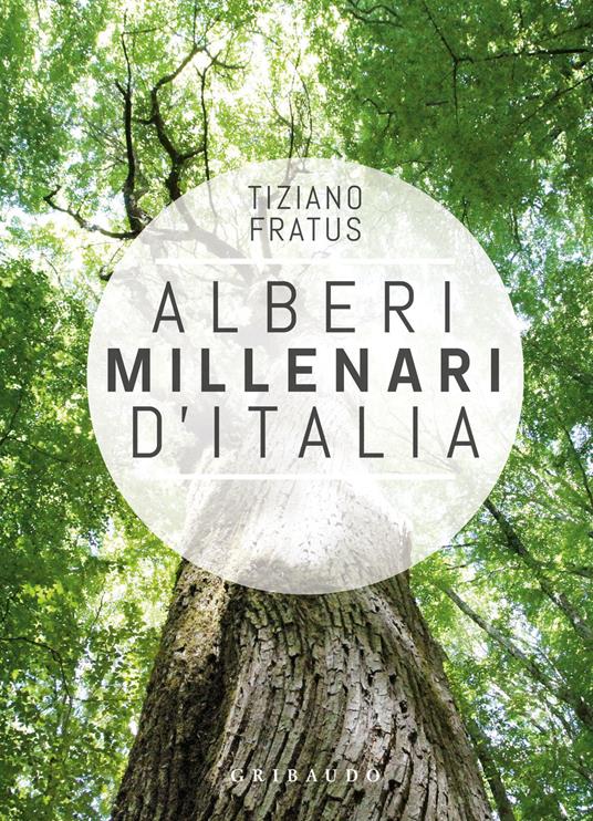 alberi_millenari_cop.jpg