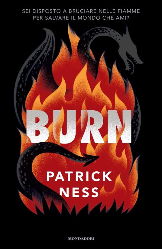 burn.jpg