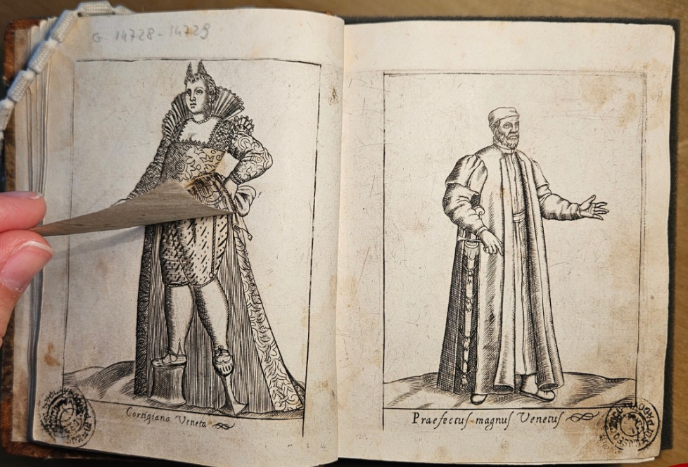 Cortegiana Veneta e Praefectus Magnus
