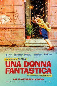 donna-fantastica-429191-locandina.jpg