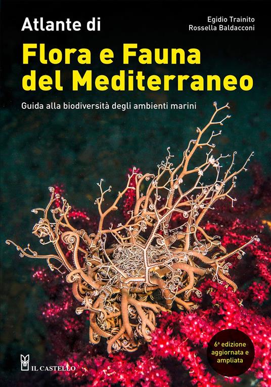 flora_e_fauna_mediterraneo_cop.jpg