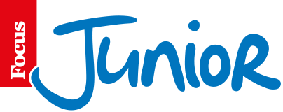 focus_junior_logo.png