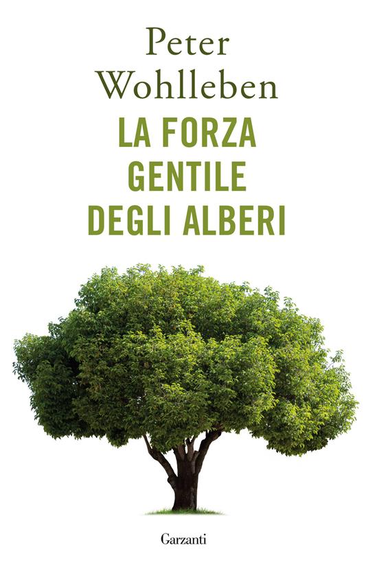 forza_gentile_degli_alberi.jpg