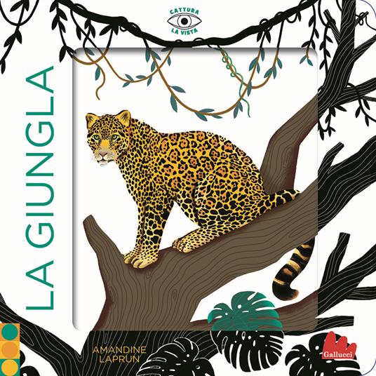 giungla_cattura_la_vista.jpg