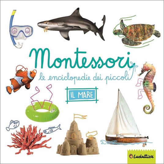 mare_montessori.jpg