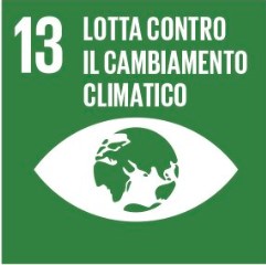 obiettivo_13_cambiamento_climatico.jpg