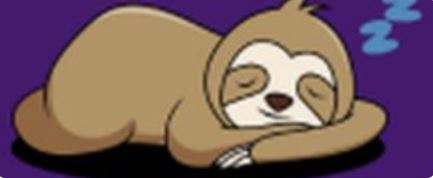 Orsetto sonno