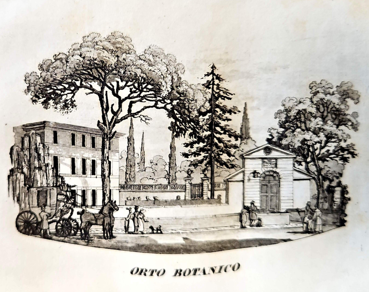 L'Orto Botanico di Padova, incisione da Pietro Chevalier