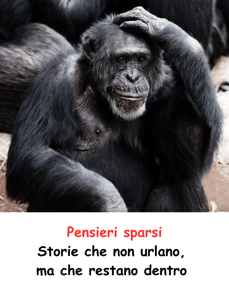 pensieri_sparsi.jpg