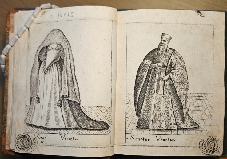 Virgo Veneta e Senator Venetus